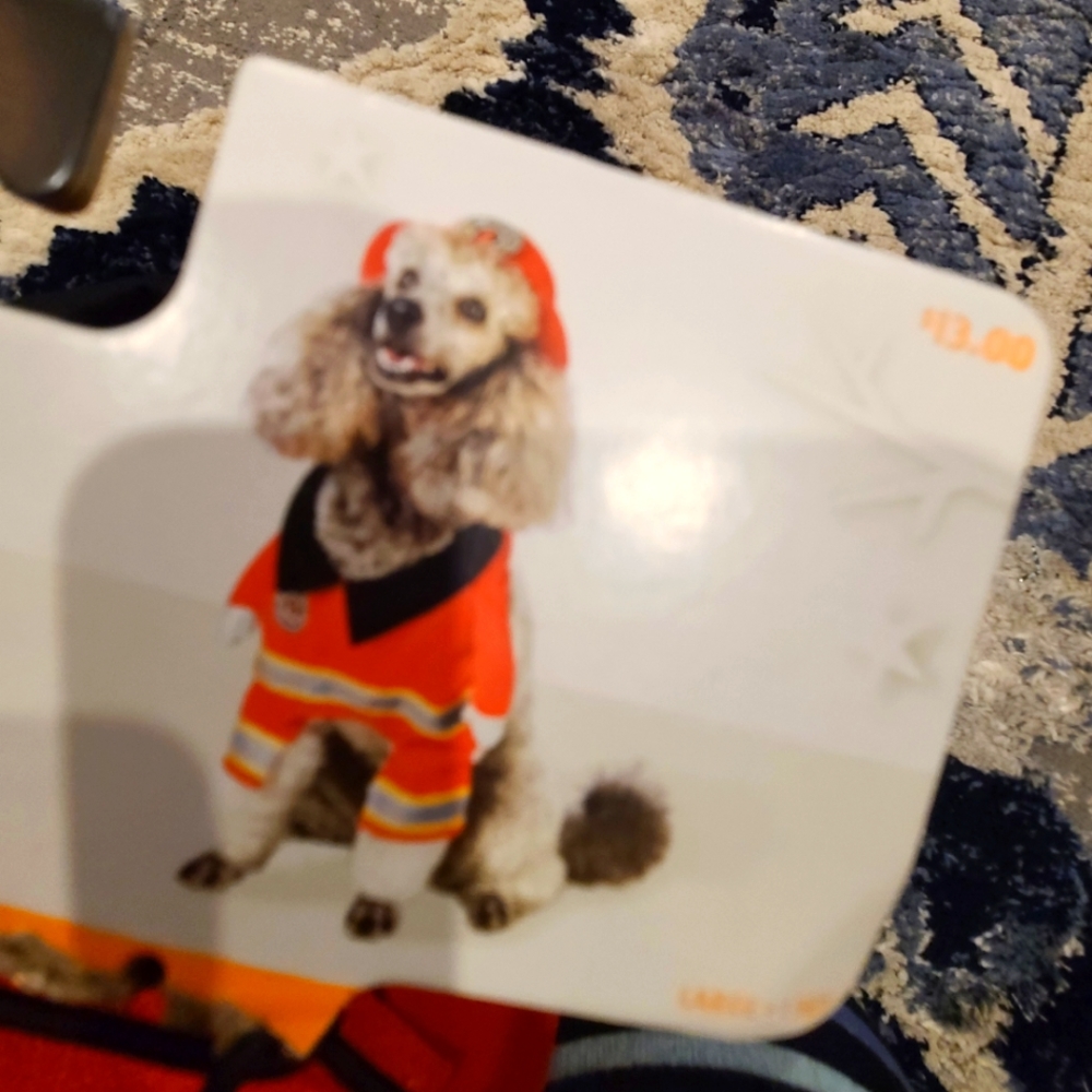 Fire Pet costume
